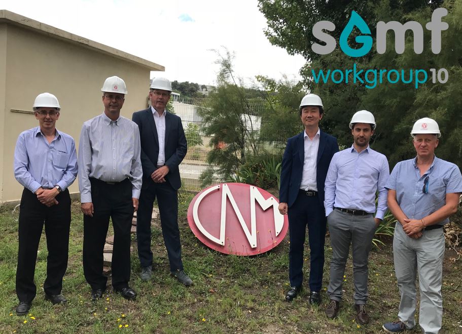 SGMF - Maintenance & Dry-docking Working Group Meeting